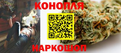 гашик Янаул