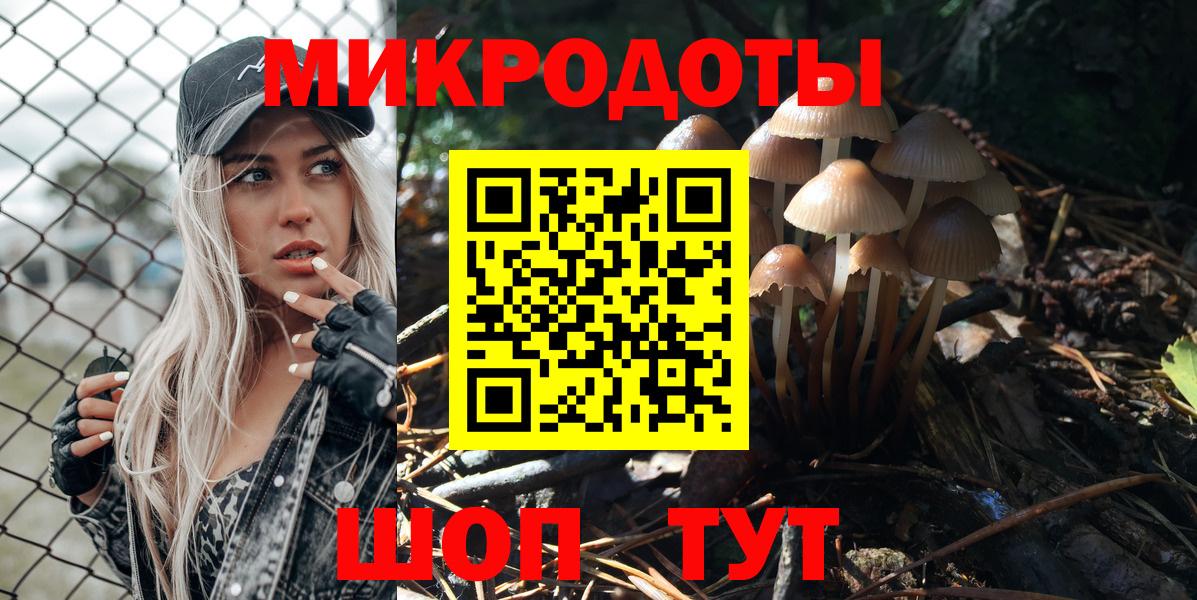 Псилоцибиновые грибы Cubensis Астрахань