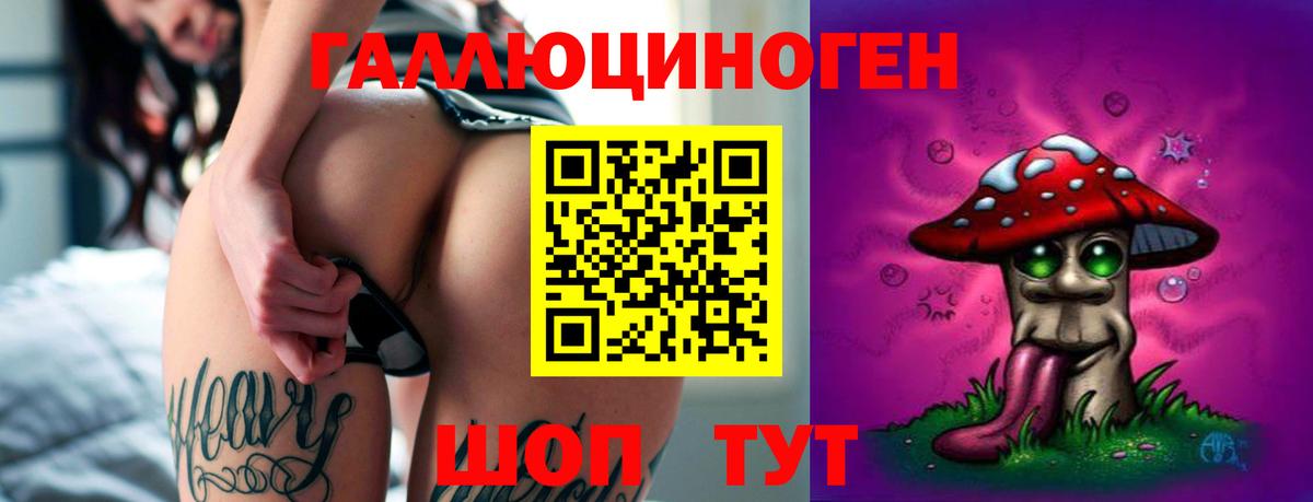 Астрахань  Галлюциногенные грибы Psilocybe  купить  сайты  Вход с VPN 